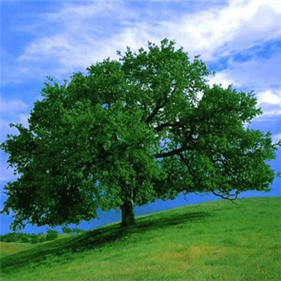 爱游戏综合官方网站App下载